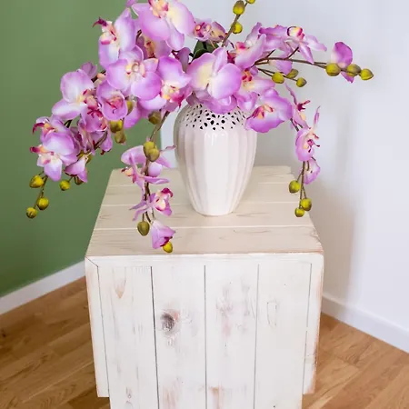 Appartement Fp Pizzo (Calabria)