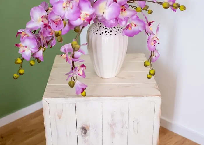 Apartamento Fp Pizzo (Calabria)