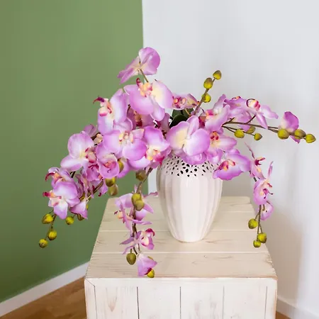 Apartment Fp Pizzo (Calabria)