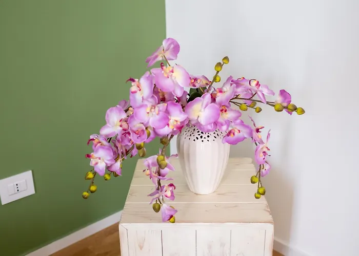 Apartamento Fp Pizzo (Calabria)